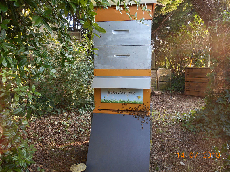 La ruche Trobas Vieilbuc